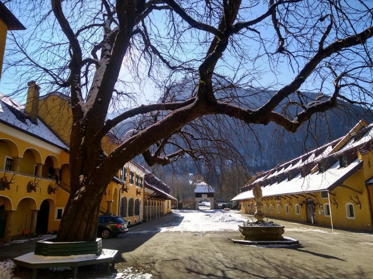 Gaestewohnung Schlossblick غرودخ المظهر الخارجي الصورة